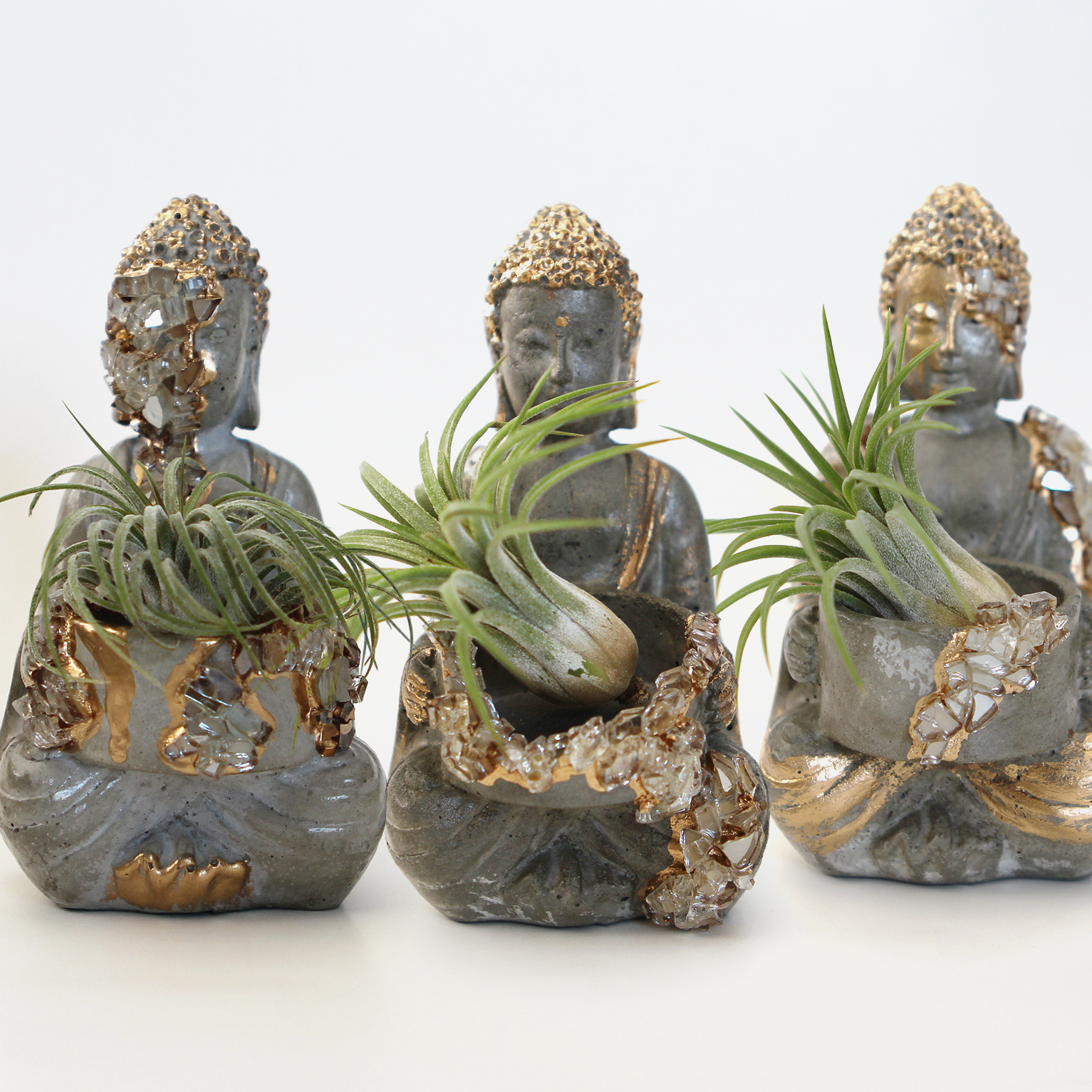 Air Plant w/ Buddha Concrete Planter (Tillandsia Ionantha Rubra)